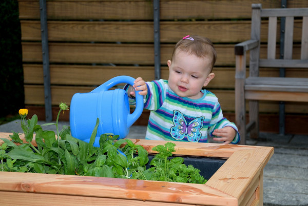 Kindergarten-Hochbeet 80 x 50 x 50 cm | Pflanzgefäße