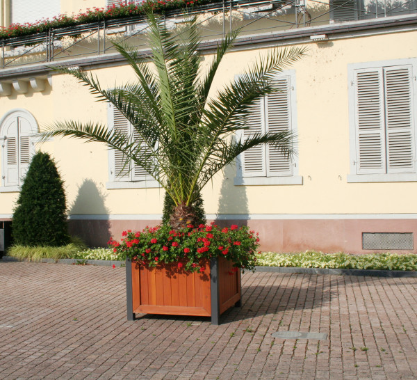 Pflanzcontainer 120 x 120 x 85 cm